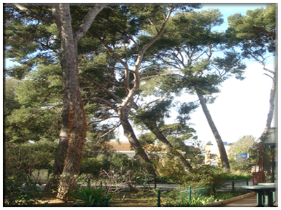  Les tarifs de l'hotel Parc Azur à TOULON / OLLIOULES - Hotel Parc Azur 